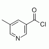 供應5-甲基煙酰氯