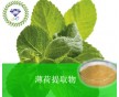 產(chǎn)品 廠家直銷 薄荷提取物