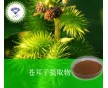 產(chǎn)品廠家供應(yīng) 蒼耳子提取物