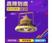 BAX1501 200W 立桿式 免維護(hù)節(jié)能防爆燈