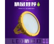 30W應(yīng)急LED防爆燈成都工廠 燈具防爆 LED防爆燈